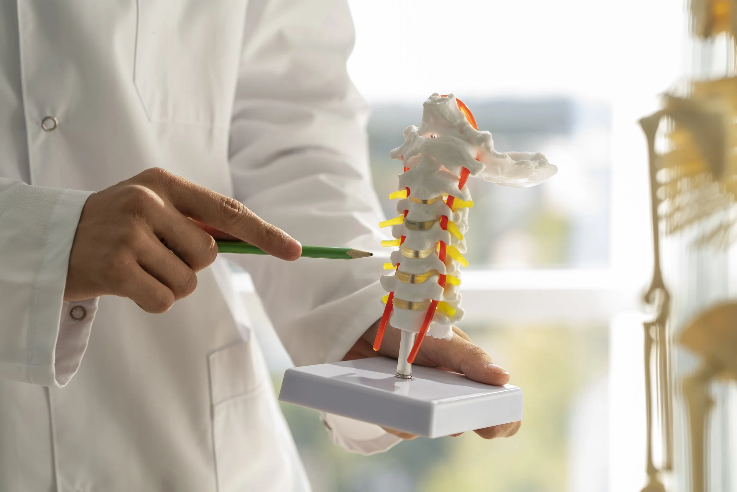 Spinal Cord Stem Cell Therapies: What the Latest Research Shows